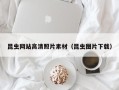 泰安昆虫网站高清照片素材（昆虫图片下载）